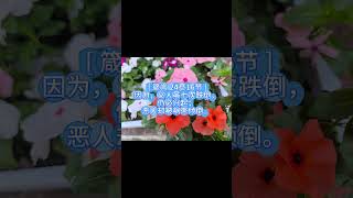 [‪箴言‬24章16节‬]2025-06-23周一#shorts#短视频 #基督徒 #基督教 #教會 #福音 #圣经 #聖經 #教会学校#每日背一节经文#箴言
