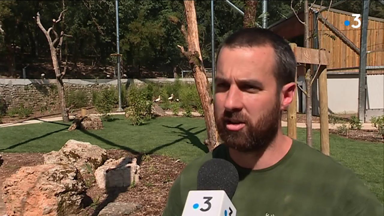 Lot : le parc animalier de Gramat ouvre une volière immersive. france télévisions sport