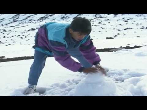 hawaiian-snow.-did-you-know-it-snows-in-hawaii?-tourism,-fun,-adventure.