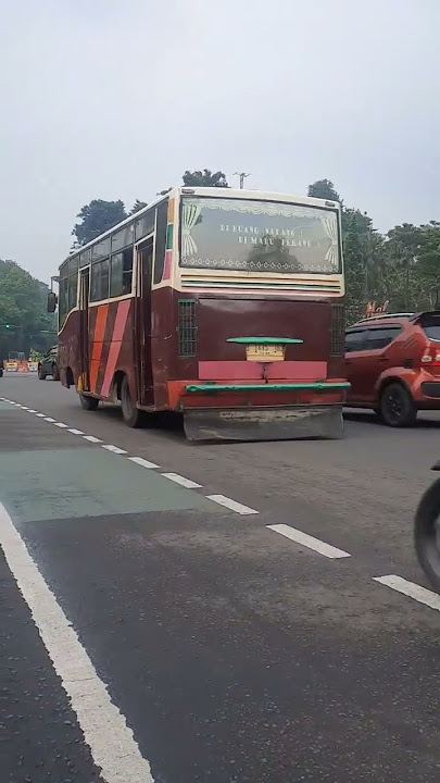 DIBUANG SAYANG DI MADU PERANG #shortsyoutube #shots