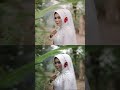 Wedding  meita  agus  by mwd pictures shorts