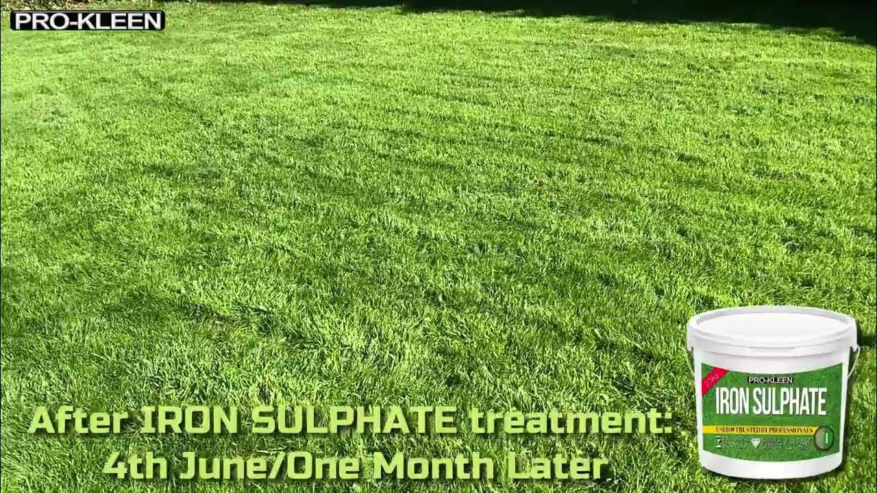 ProKleen Iron Sulphate for Greener Grass & Harder Turf YouTube