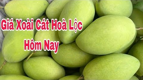 Giá Xoài Cát Hòa Lộc Hôm Nay 29/7/2025 | VTK.CHANNEL