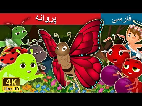 تصویری: چه پروانه هایی شبانه هستند