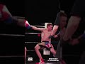 Deer legs on amateur boxer leads to wild headshot on the ground