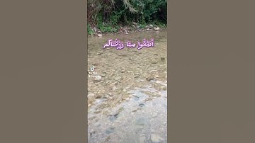 قران كريم ايات تريح القلب بصوت الشيخ سعد الغامدي#سعد_الغامدي  #quranhearts