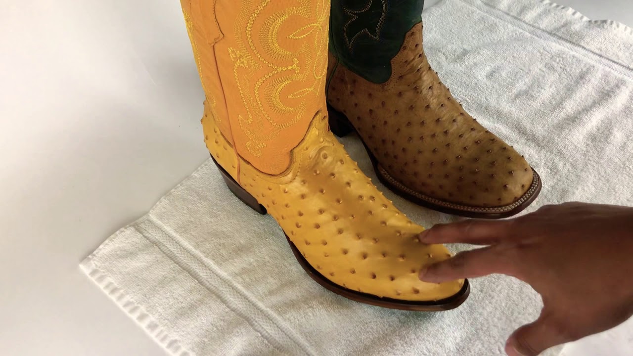 exotic print boots