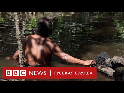 «Женский лес» в Индонезии. Мужчинам вход воспрещен!