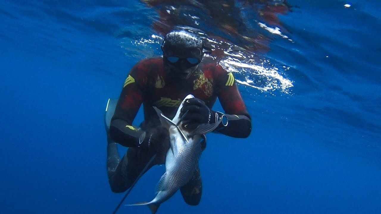 Spearfishing The ISLAND of the APOCALYPSE vol.2 - Ψαροτούφεκο Tο νησί της Αποκάλυψης vol.2