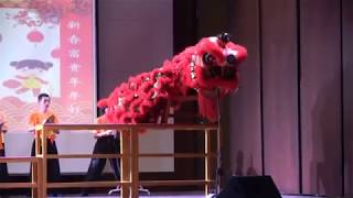 【日新国中醒狮团】校内迎春日表演/20200111