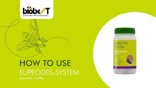 How to use Eupeodes-System from Biobest