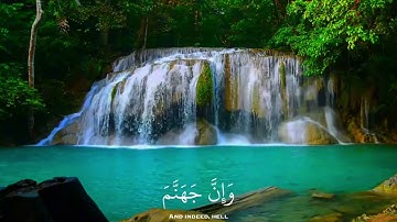 ( يا عبادي الذين آمنوا إن أرضي واسعة فإياي فاعبدون ) القارئ عبد الرحمن مسعد ❤️‍🩹