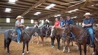 On The Clock with Arlington PD s Mounted Unit