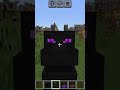 MINECRAFT TROLL SKULL EDIT