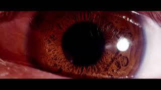 Globo ocular 4K - Footage of Eyeball – FREE STOCK FOOTAGE Globo ocular 4K - Footage of Eyeball – FREE STOCK FOOTAGE