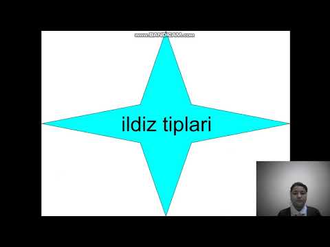 Video: Birch Ildiz Tizimi (10 Fotosurat): Qanday Ildiz Tizimi Va U Ekishga Qanday Ta'sir Qiladi? Ildiz Xususiyatlari, Qayinning O'sishi