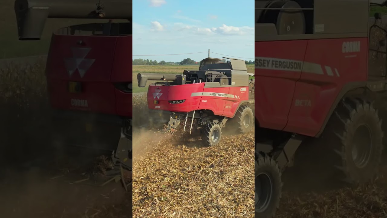 Trebbiatura Mais 🌽 
