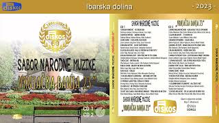 Radivoje Biševac - Ibarska dolina - (Audio 2023)