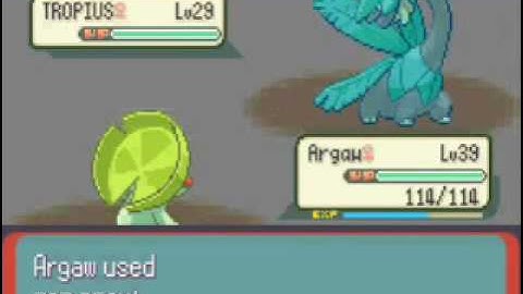 UMCGrass-Hoenn-GYM Battle Six-Winona