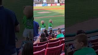 Kane County Cougars playoff into and starting lineup
