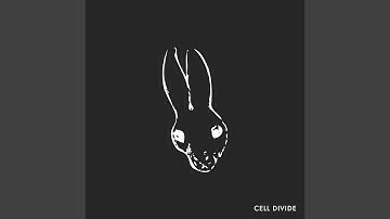 Cell Divide (feat. Fletcher Dragge of Pennywise)