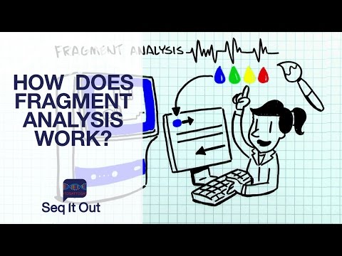 Video: Một Electropherogram cho thấy gì?