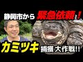 7.カミツキガメ捕獲大作戦!【衝撃の瞬間】ワナ125個で巨大ガメ350匹‼︎