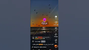 غزة يا العزيزة 80smusic Danslabulledecali Spyxfamily Butifyoucloseyoureyes Love اكسبلور Minec 