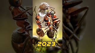 Ant 2023 vs 50000 bce(((mythic  fiction world ))) #shortvideo