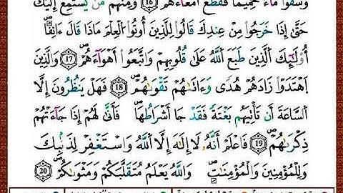 ختمة مصحف التجويد برواية قالون الصفحة رقم 508