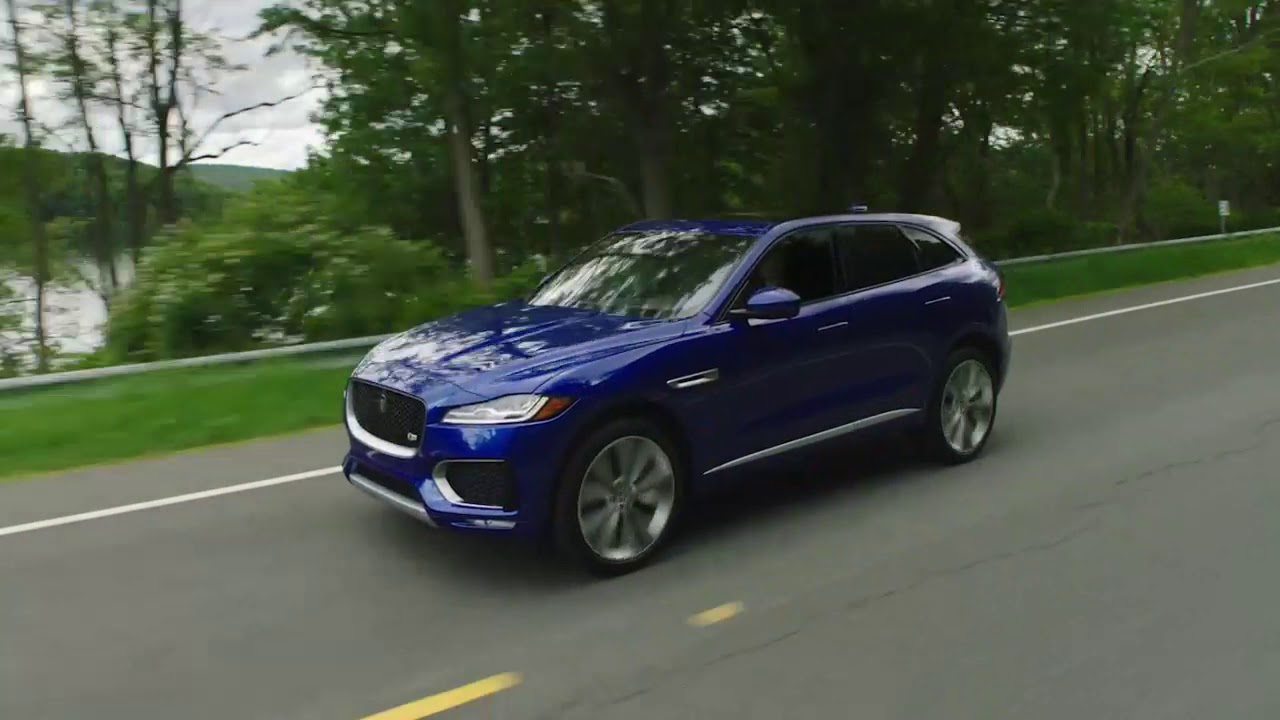 Napleton Auto Group Jaguar 2019 October