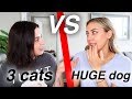 WE SWAPPED PETS FOR A DAY