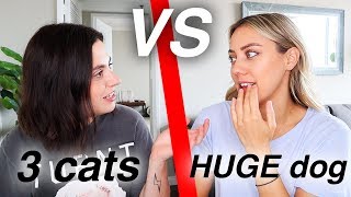 WE SWAPPED PETS FOR A DAY