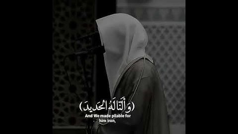وَلَقَدْ آتَيْنَا دَاوُودَ مِنَّا فَضْلًا | القارئ ناصر القطامي.