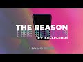Halogen - The Reason feat. Kelli Leigh (Visualizer) [Ultra Music]
