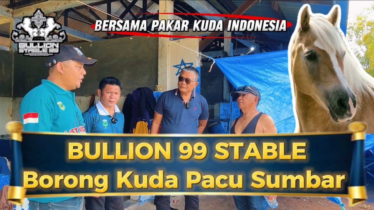 BULLION 99 STABLE Borong Kuda Pacu Sumbar. Dan Ikut pacukan Kuda Di Event SAWAHLUNTO DERBY 2025