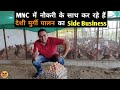 देशी मुर्गी पालन Profit | Desi Poultry Farm Business Plan | How To Start Desi Chicken Farming