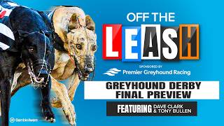 Greyhound Derby Final Preview | Off The Leash | Greyhound Tips | Racing Post