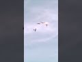 Dos aeronaves Embraer T-27 Tucano de la Fuerza Aérea Colombiana chocan en el aire💥🥺😔