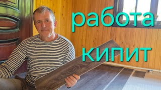 Строим новую кухню. Первые грибы 2025. Часть 1
