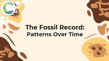The Fossil Record: Patterns Over Time