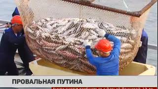 Провальная путина. Новости 13/12/2018. GuberniaTV