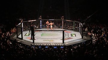Conor McGregor / Chad Mendes - UFC 189 - 1st Round