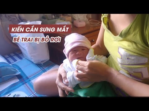 Video Bé trai sơ sinh bị bỏ rơi trong giỏ xách, kiến cắn... - youtube