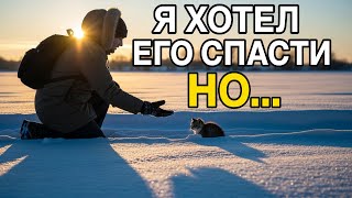 видео: Почему ваша доброта бывает бессильна | Жестокая, но честная притча о помощи картинка: Почему ваша доброта бывает бессильна | Жестокая, но честная притча о помощи