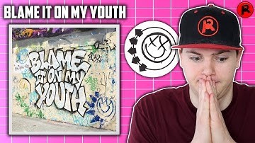 Blink 182 - Blame It On My Youth | Track Review