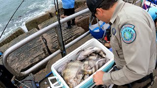 They Called the Game Warden on Us for Catching Too Many Sheepshead screenshot 3