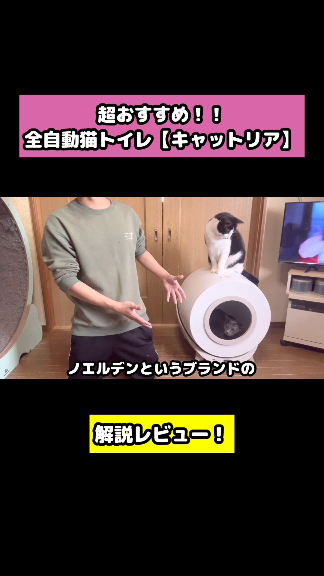 な*す様 Noerden Catria(キャットリア) 猫 自動トイレ Amazon | Noerden Catria(キャットリア) 猫 自動トイレ 猫トイレ 自動