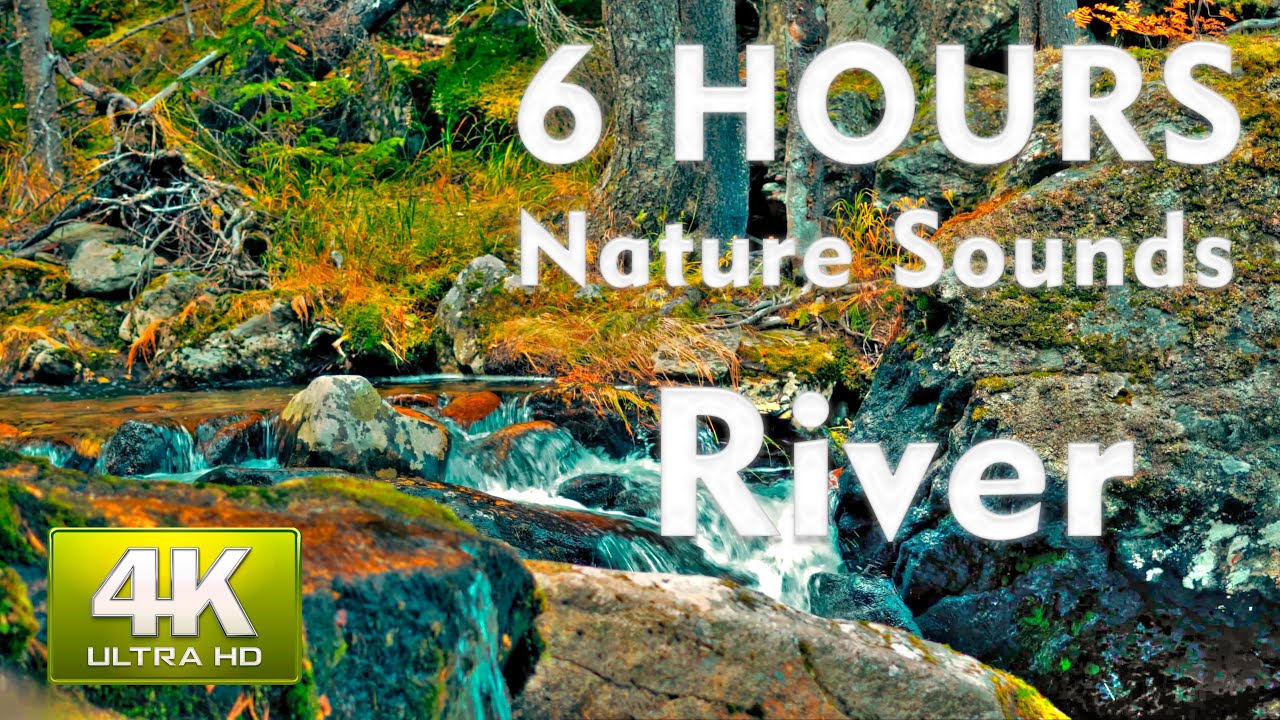 4K Forest Stream - Relaxing River Sounds (6 hours)