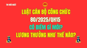 Toàn văn luật cán bộ công chức 80/2025/QH15 có gì mới, chế độ lương bỗng ra sao? Khiển trách ra sao?
